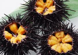 uni