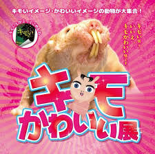 yjimage